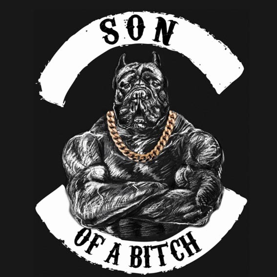 son sokolov